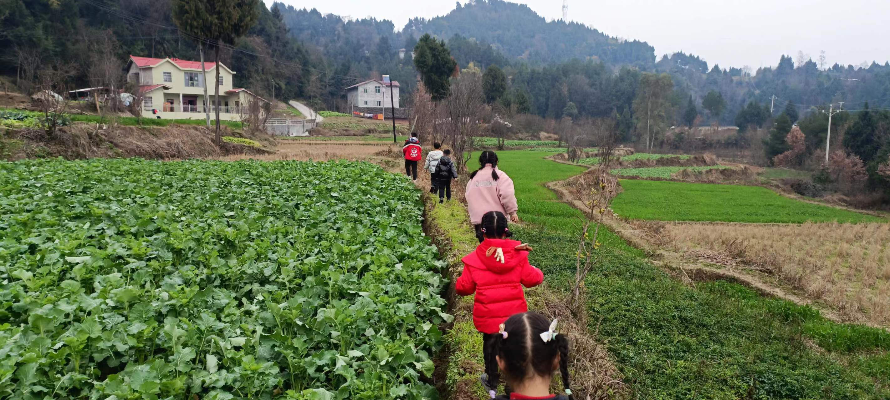 image-20240129165017652