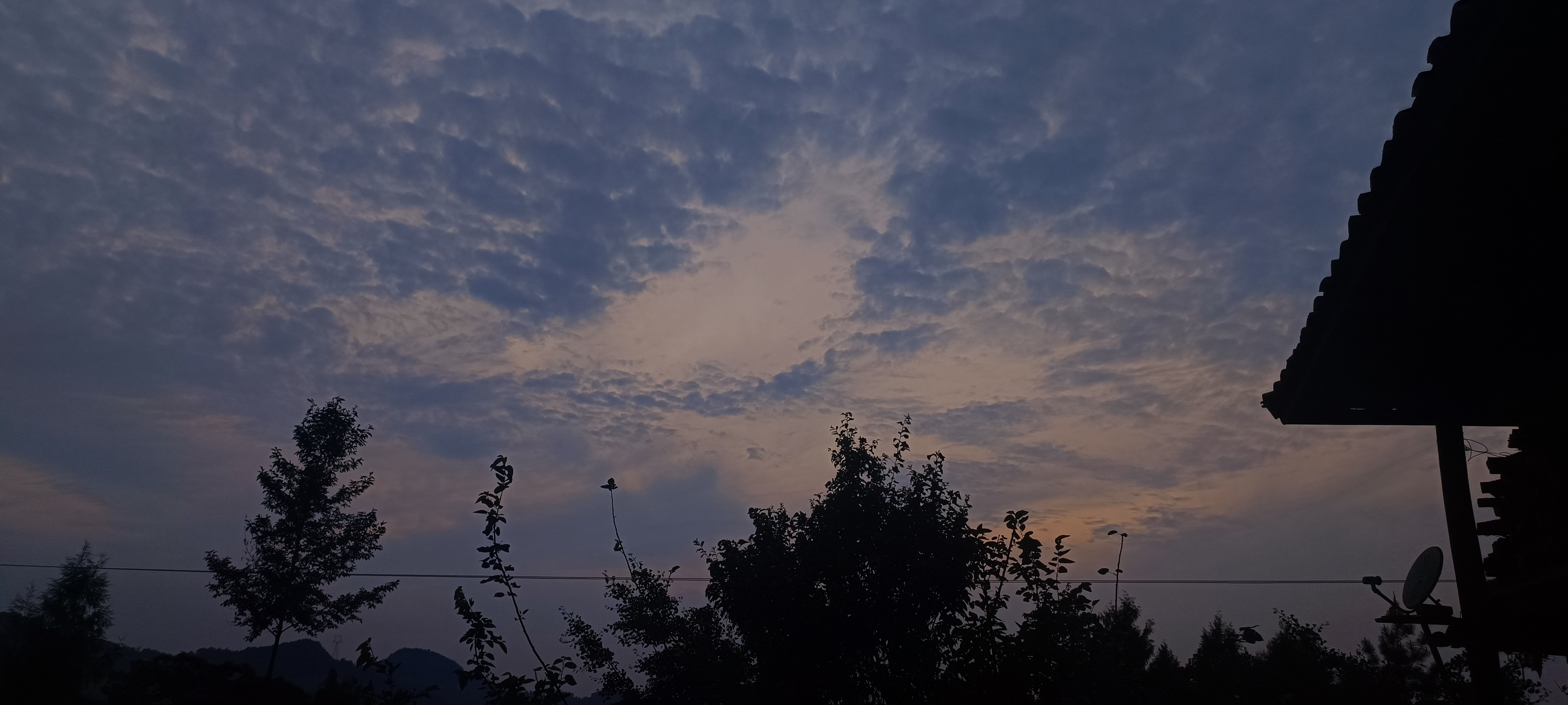 image-20240520101214004